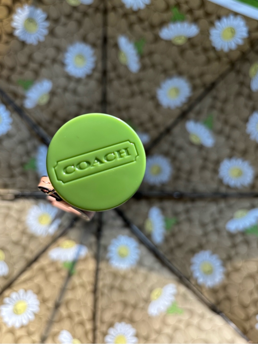 NWT ✨Rare Vintage Coach Signature C Daisy Umbrella (Green/Khaki)✨ - Picture 7 of 16